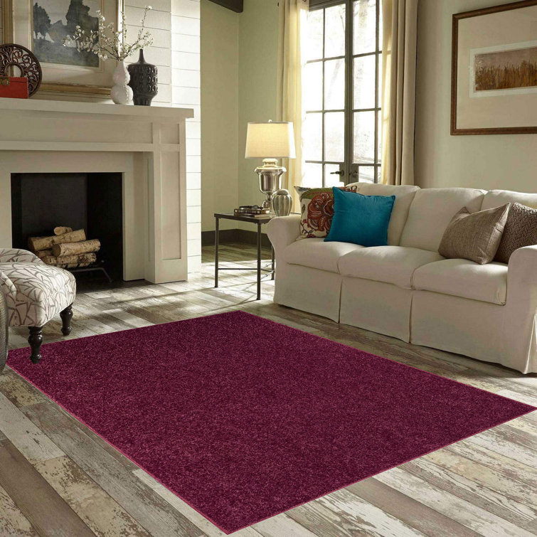 Latitude Run® Braided Cranberry Area Rug & Reviews Wayfair